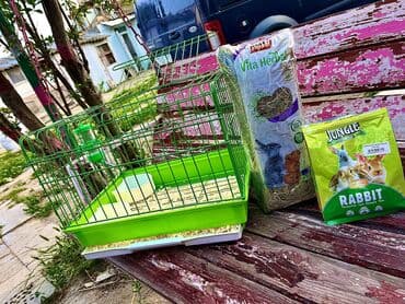 pişik maneji: Etrafli vp 051 494 09 86 Qefeslerin her biri satişda var qefes bitende — 3