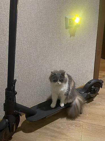 Elektrik skuter - Şəhərdaxili rahat və səssiz hərəkət üçün elektrikli — 2