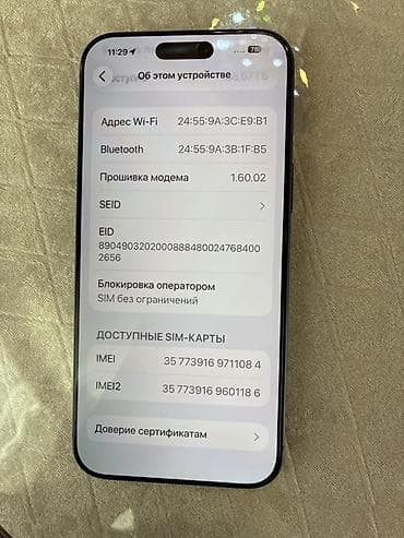 redim 13: IPhone 17 Pro Max, 256 GB, Göy, Face ID — 9