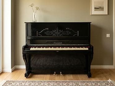 Piano, Belarus, Akustik