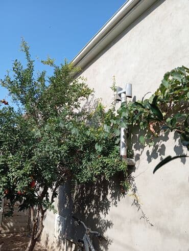 yevlax iş: Satılır. Təcili deyil. Diqqətlə oxuyun zəhmət olmasa.Ev kanal — 43