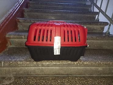 Heyvan daşıma boksu - Rəng: qırmızı-qara - Material: möhkəm plastik -