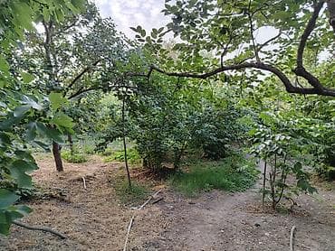 кредит: Хачмаз, 120 м², 4 комнаты, Без бассейна, Водопровод — 3