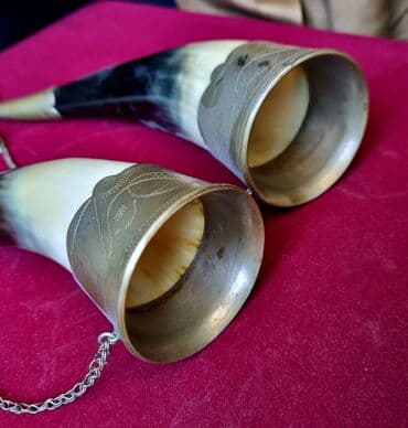 Pastel dəstləri: Dənəsi 25 m. Buynuzlar — 3