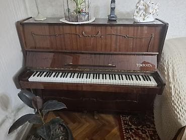 Piano, Akustik, İşlənmiş, Ünvandan götürmə lalafo.az -da Piano, Akustik, İşlənmiş, Ünvandan götürmə
