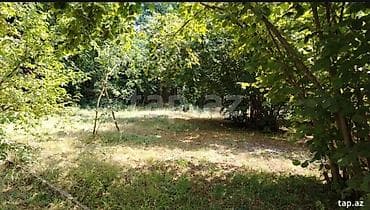 Otaqlar: Kənd təsərrüfatı — 4