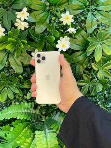 IPhone 11 Pro, 64 GB, Matte Silver, Zəmanət, Face ID