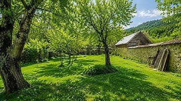 15 sot, Tikinti, Mülkiyyətçi, Kupça (Çıxarış)