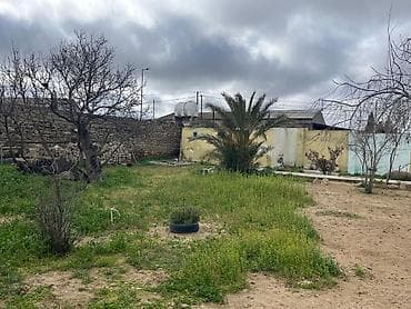 şaganda torpaq: 4 sot, Tikinti, Mülkiyyətçi, Kupça (Çıxarış) — 2