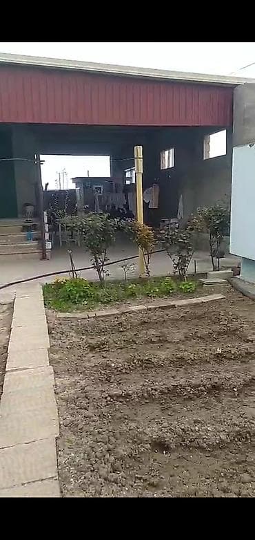 sutkaliq bag evi: Zeynalabdin Tağıyev, 120 kv. m, 4 otaqlı, Kombi, Qaz, İşıq — 5