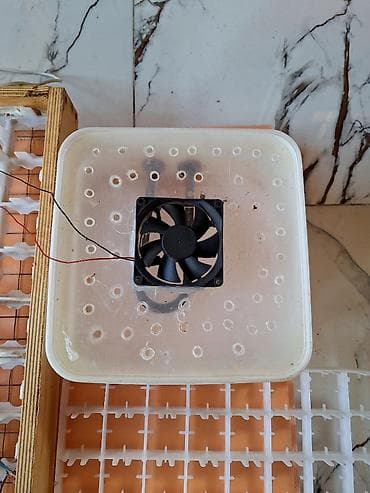 Ticarət printerləri və skanerləri: Salam inkubator ucun lazim olan aksesuarlar satilir — 3