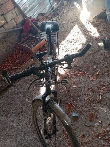 литература 6 класс учебник азербайджан: Velesopet satılır — 3