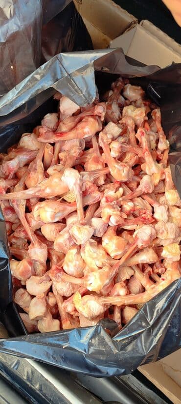 Şampunlar: It yemi. Toyuqun Qabirga ve Bud sumuyu, Toyuq farji. Toyuq qanad — 8