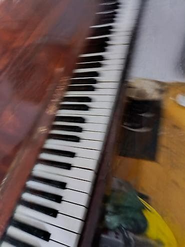 Piano, Belarus, Akustik — 4