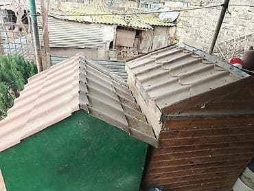 Quşlar: Salam her iksi satilir tecili 170 manata ikisi bir yerdə unvan — 3