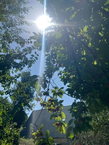 20 yanvar kiraye ev: A‑Frame tipli kottec Quba Qecres asfaltin duz yani butun seraiti olan — 2