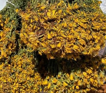 Digər bitkilər: Bütün növ yerli və xaricdən gəlmə bitkilərin topdan satışı Çərəz — 6