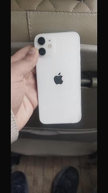 IPhone 12, Ağ