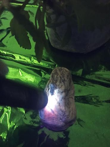 kafel ucuz: İşıqkeçirən dekorativ daş – təbii kolleksiya nümunəsi - Tərkib: açıq — 6