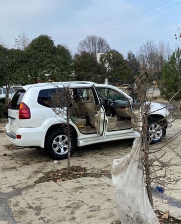 7 nəfərlik maşınlar: İkinci masin kimi istifade edilib. Hec bir problemi yoxdur — 4