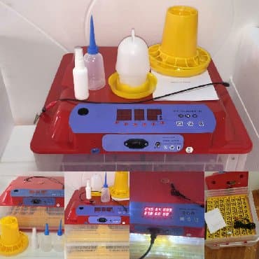 İnkubatorlar: Çin, Bütün növ quşlaq üçün, Tam avtomat, Zəmanət ilə — 5