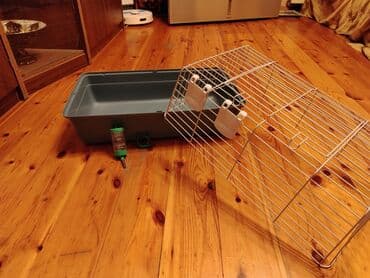 ucuz panço: Ev heyvanları üçün nəzərdə tutulmuş bu qəfəs, evinizdəki kiçik — 8