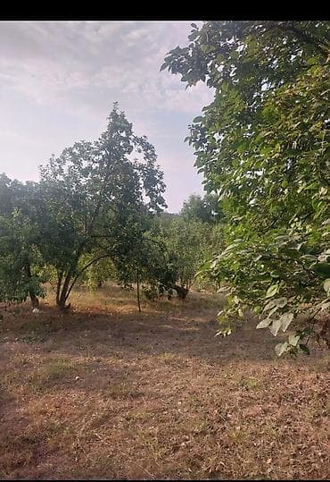 qaxda satilan torpaqlar: 8 otaq, 190 kv. m, Orta təmir — 1