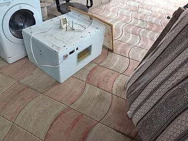 inkubator cucesi: 100 yumurta, Azərbaycan, Tam avtomat, Bütün növ quşlaq üçün — 4