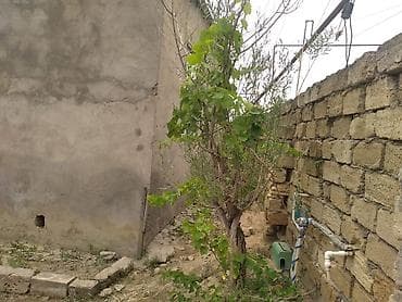 gencede ev: Kürdəxanı qəs. 3 otaqlı, 4 kv. m — 2