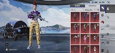 Digər: PUBG Mobile oyun hesabı – müxtəlif nadir skinlər və laboratoriya — 2