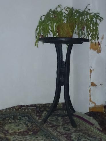 qedmi xalcalar: Xalça Dekorativ, Kredit yoxdur — 10