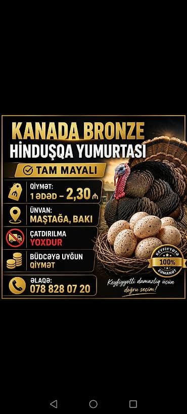 su cen: Hinduşqa kanada broze yumurtası🦃 — 1