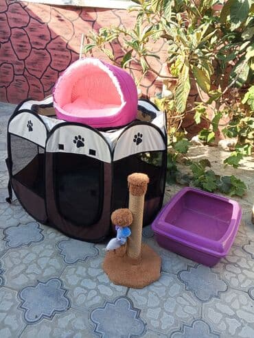купить домик для кота: Pişik üçün aksesuar dəsti hamisi birlikde 60azn cox az islenib yeni — 1