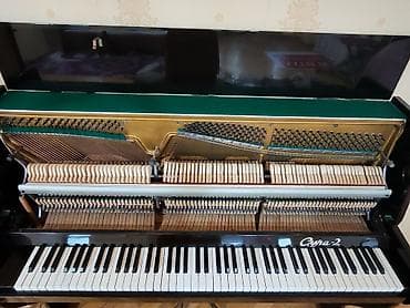 real gitara: Piano, Akustik, Yeni, Ünvandan götürmə — 4