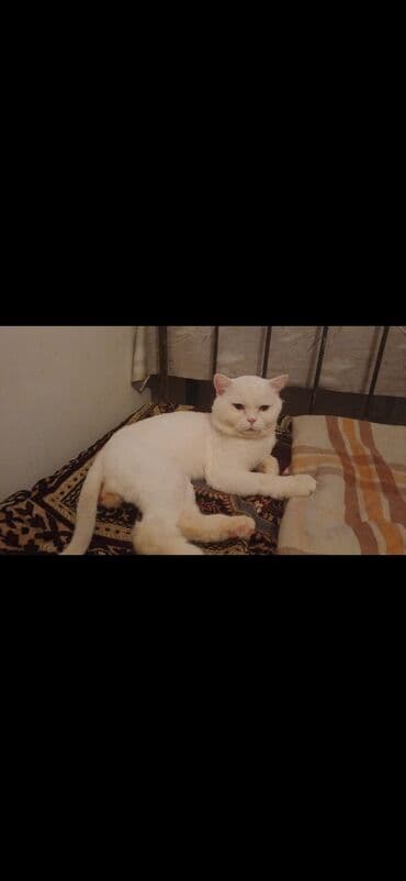 Ünvandan götürmə