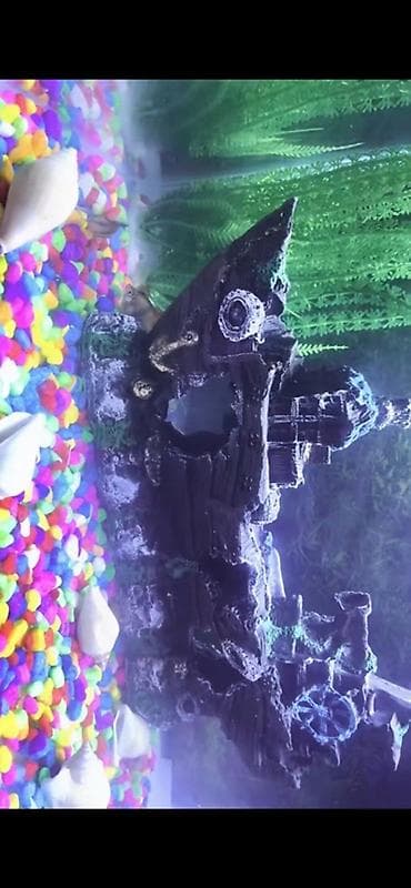 Akvaryum üçün dekorativ “batmış gəmi” fiquru - Realistik detallar