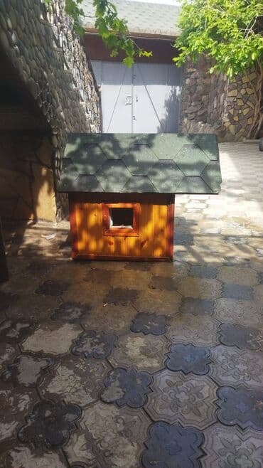 ev satış: 35manata it üçün ev satiram — 2