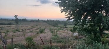 sumqayıt heyet evi: Ünvan: Qusar şəhəri Ləyər kəndi (ləzgi ləyər) 1hk 68 sot bağ yeri — 31