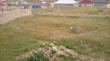 тап аз недвижимость: 3 sot, Tikinti, Mülkiyyətçi, Kupça (Çıxarış) — 1