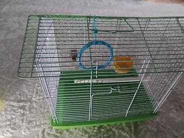 Qəfəslər: 2 ci Əl Quş qəfəsi – kiçik və orta ölçülü ev quşları üçün - Rəng — 4