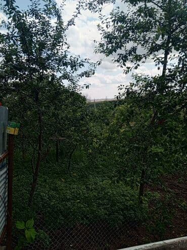 1 otaqlı kirayə: Şamaxı, 80 kv. m, 3 otaqlı — 18