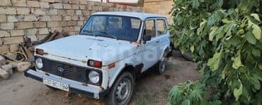 ваза напольная стеклянная высокая без узора: ВАЗ (ЛАДА) 4x4 Нива: 0.6 л | 1984 г. 22244 км Седан — 10