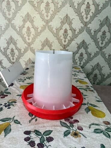 İtlər: Yem qabı, Su üçün, Heyvanlar üçün — 3