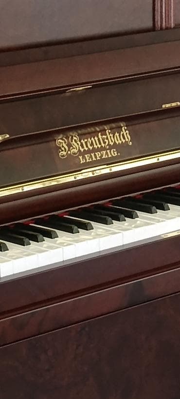 Музыкальные инструменты: Upright pianino – Rönisch Leipzig - Korpus: tünd qəhvəyi/qırmızı — 6
