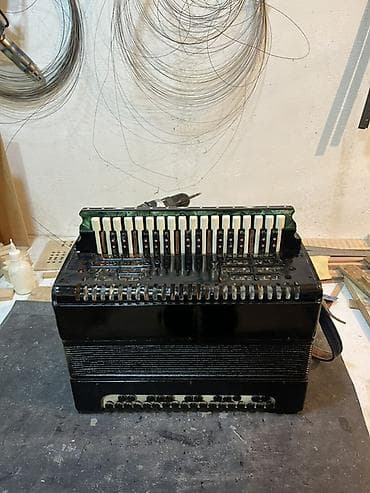 Ovçuluq və balıqçılıq: Akustik Akkordeon — 4