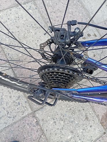 velsiped: Champion markalı velosiped. Mavi rəngli çərçivəyə malikdir və — 3