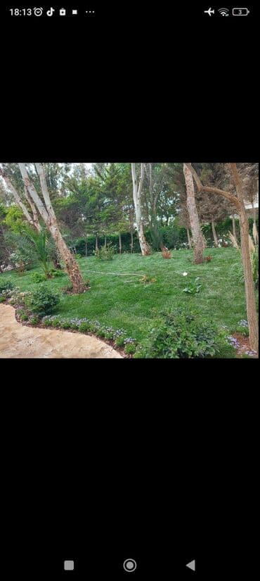 ağ dırnaq modelleri: Landşaft dizayin ummi abadliq qazon agaclar gul ciceklerlə bağlarin — 6