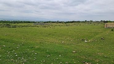 ramanida torpaq satisi: 12 sotdan ibarət Torpaq sahəsi Şəki şəhəri Orta Zəyzid kəndində Tək — 3