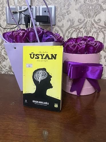 qedim pullar: Məhsul: Kitab – “Üsyan” (Rövşən Abdullaoğlu) Təsvir: - Müəllif — 1