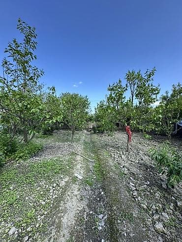 bine savxozda satilan heyet evleri: 18 sot torpağ tam satılırhissə -hissədə satılır razılaşma yolu ilə — 6
